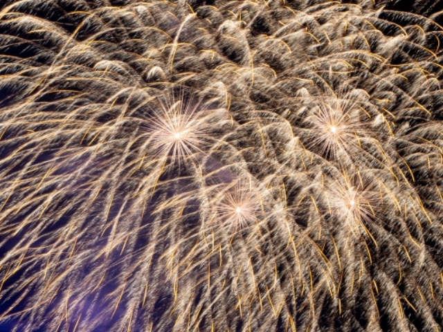 岐阜県:夏祭りイベント(ビジョンカーレンタルの実績)